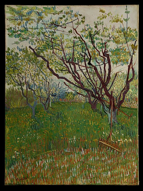 Vincent van Gogh. The Flowering Orchard