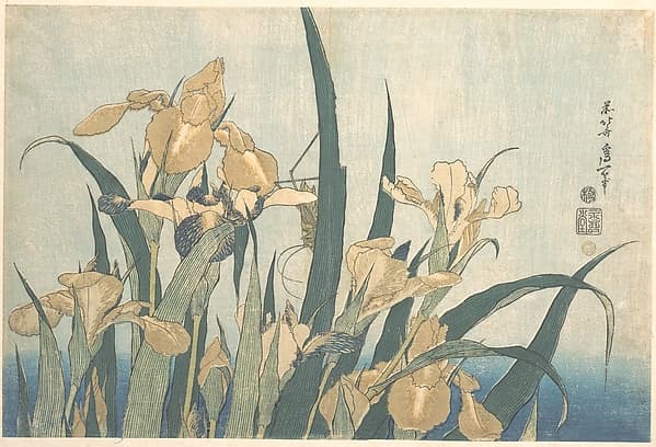 Hokusai. 葛飾北斎画 燕子花|Grasshopper and Iris