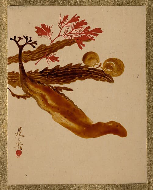 Shibata Zeshin. Seaweed