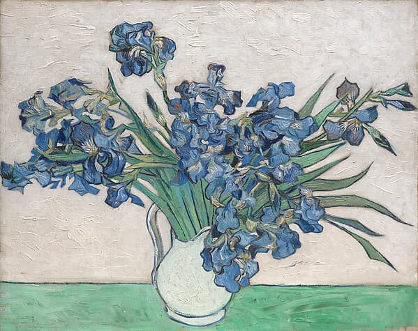 Vincent van Gogh. Irises
