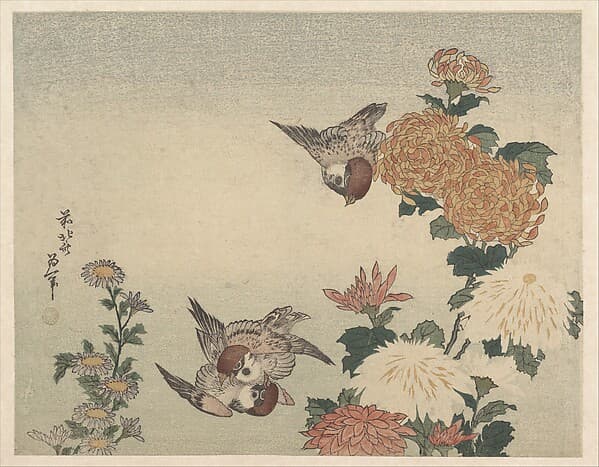 Hokusai. 葛飾北斎画 菊に雀|Sparrows and Chrysanthemums
