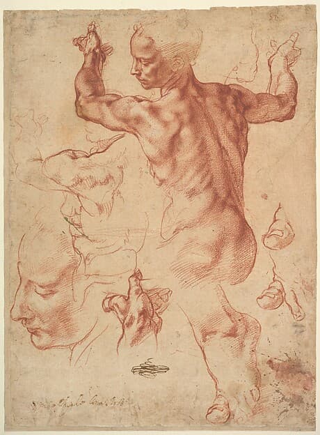 Michelangelo. Studies for the Libyan Sibyl