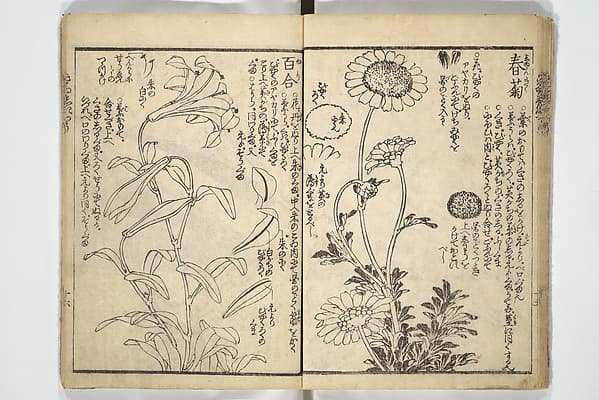 Hokusai. Book on the Application of Color, Volume One