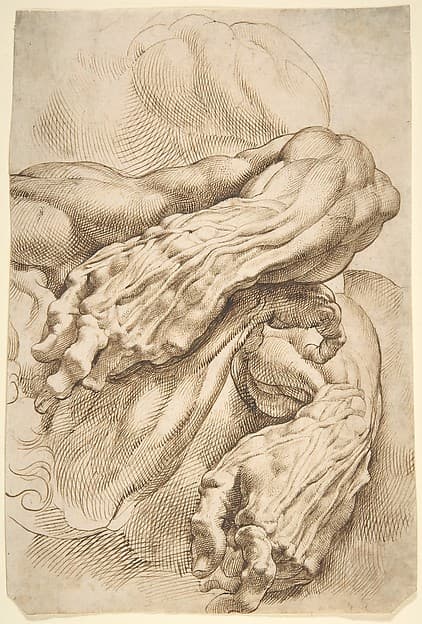 Peter Paul Rubens. Anatomical Studies: Left Forearm in Two Positions and Right Forearm