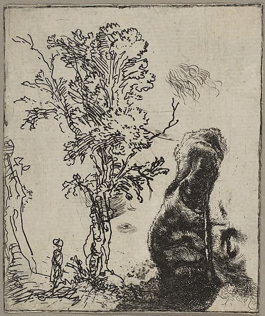 Rembrandt. Sheet with Two Studies: Tree and Upper Part of Rembrandt's Head in a Velvet Cap