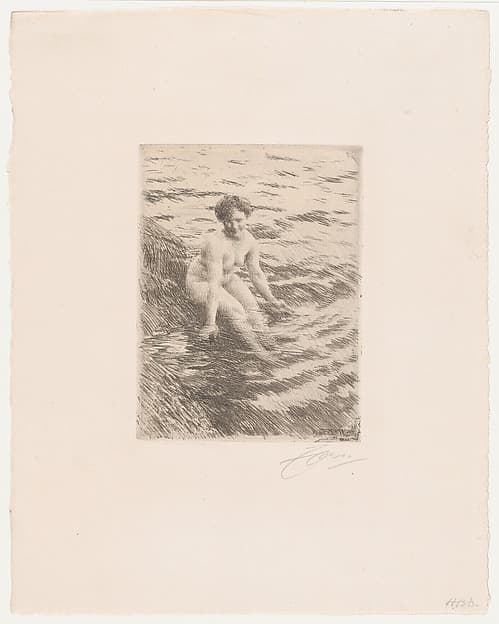Anders Zorn. Wet