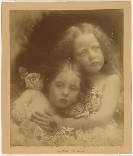 Julia Margaret Cameron. Photograph "English Blossoms"