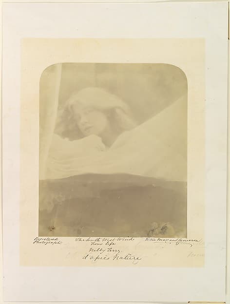 Julia Margaret Cameron. Photography The South West Wind