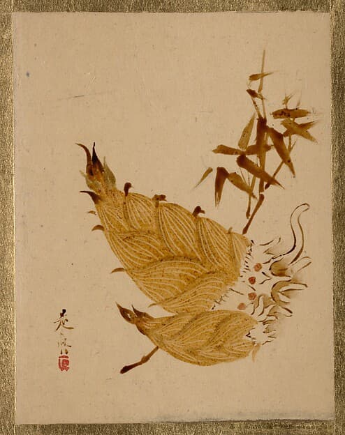 Shibata Zeshin. Bamboo Shoots