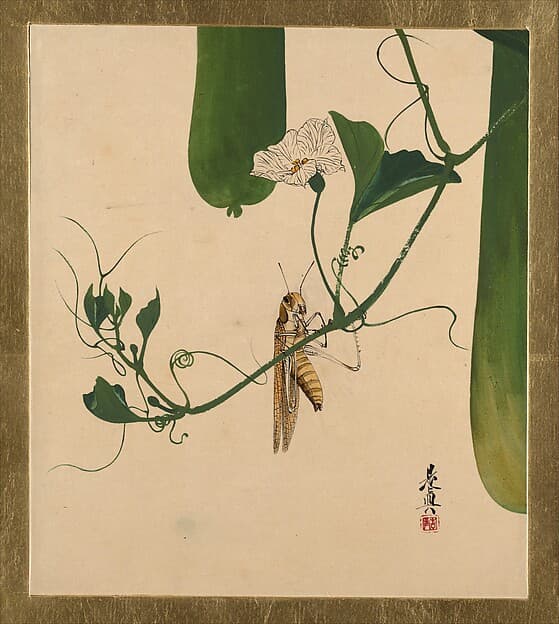 Shibata Zeshin. Lacquer Paintings of Various Subjects: Grasshopper on Gourd Vine