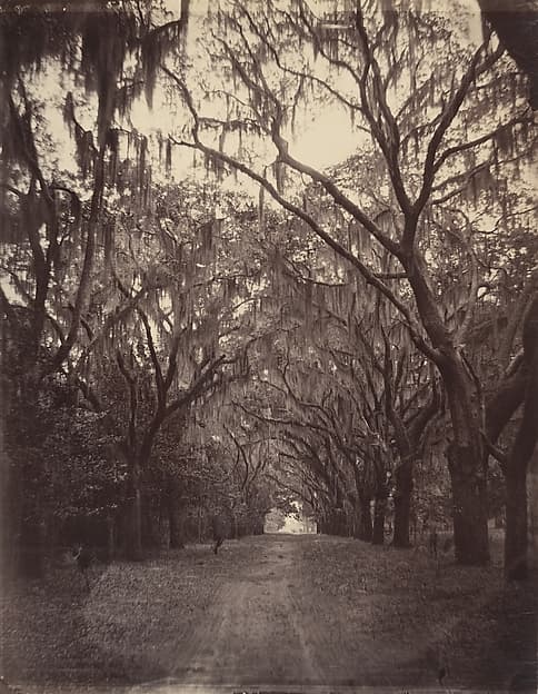 George N. Barnard. Photograph "Bonaventure Cemetery, Four Miles from Savannah"