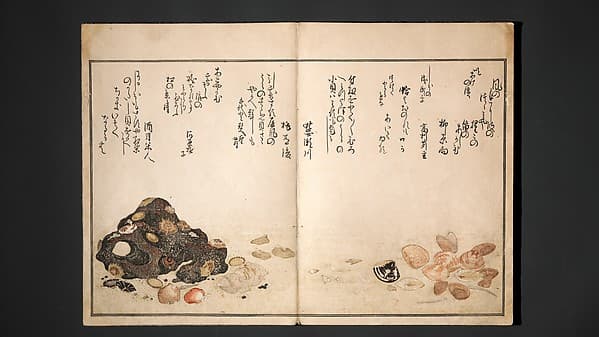Unknown artist. Gifts of the Ebb Tide (The Shell Book) (Shiohi no tsuto) 潮干のつと(都登)