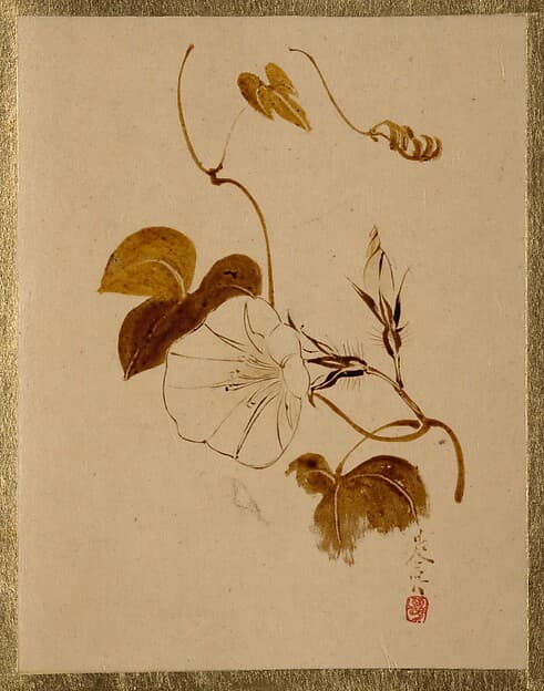 Shibata Zeshin. Morning Glory