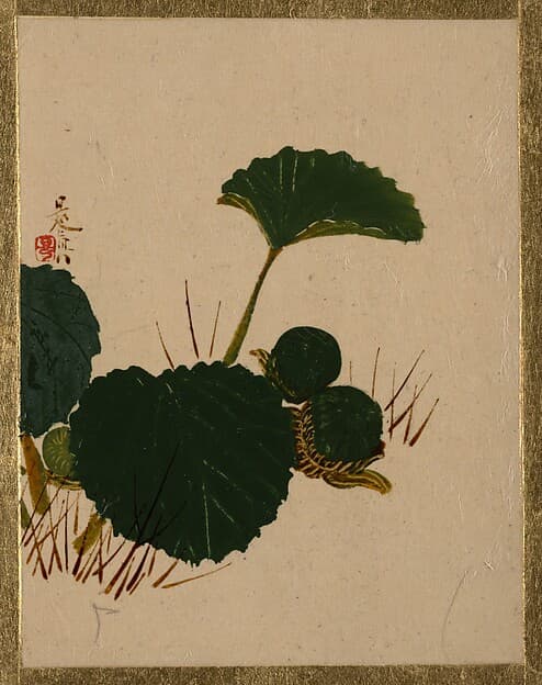 Shibata Zeshin. Worm on Green Leaved Plant